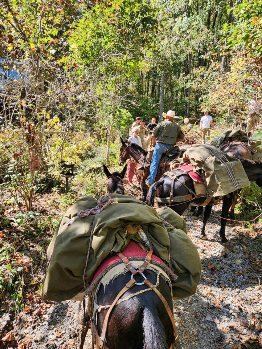 Photos | Mountain Mule Packers Gallery