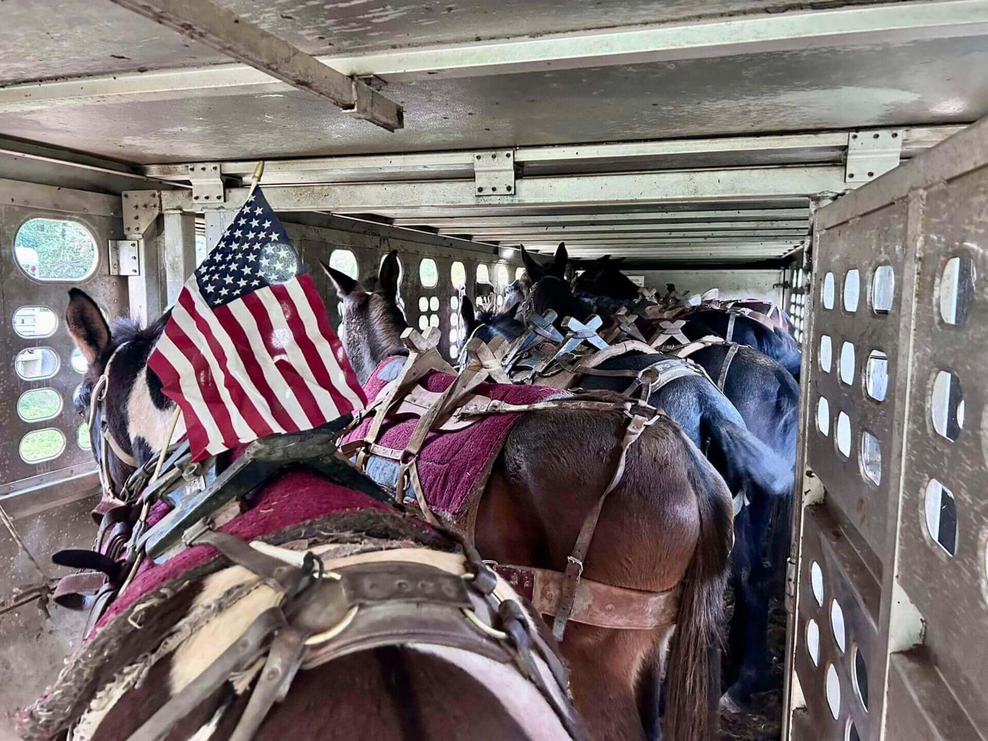 Western North Carolina Mission Update - Mountain Mule Packer Ranch